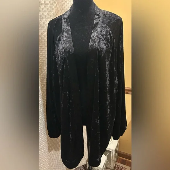 ODDY Anthropologie Black Velvet Garment - Picture 3 of 10